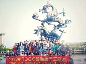 중국 Rogo Industrial (Shanghai) Co., Ltd.